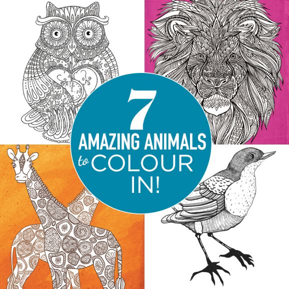 7 Amazing Animals To Colour In