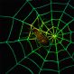 Glow in the Dark Spider Web Halloween Decoration Glow in the Dark Spider Web Halloween Decoration