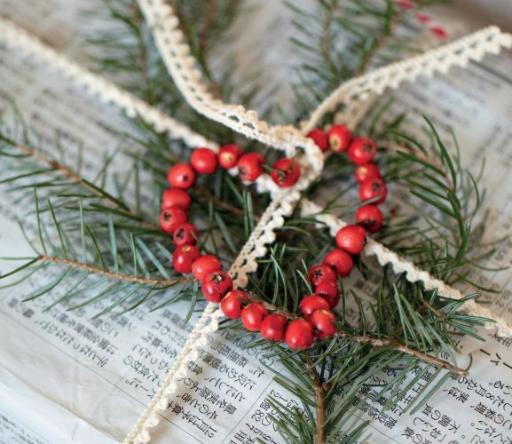 Gift Wrap with Winter Foliage Gift Wrap with Winter Foliage