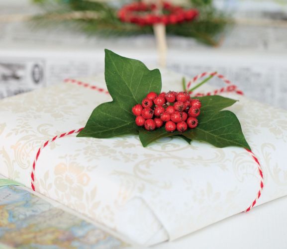 Gift Wrap with Winter Foliage Gift Wrap with Winter Foliage