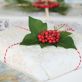 Gift Wrap with Winter Foliage Gift Wrap with Winter Foliage