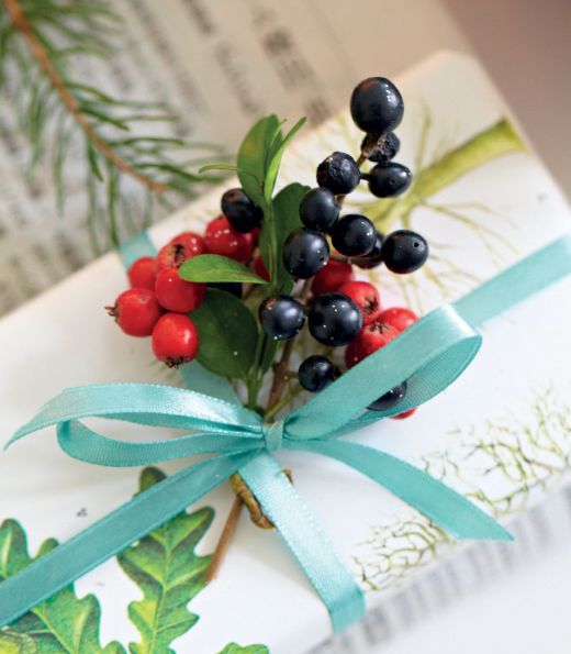 Gift Wrap with Winter Foliage Gift Wrap with Winter Foliage