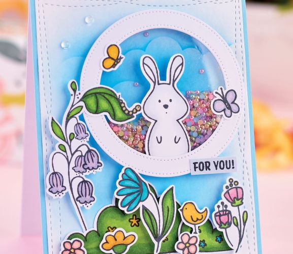 Make Cute Shaker Cards Make Cute Shaker Cards