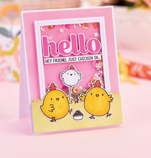 Make Cute Shaker Cards Make Cute Shaker Cards