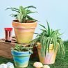 Paint Terracotta Pots