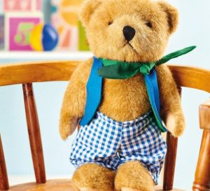 Teddy Outfit Teddy Outfit