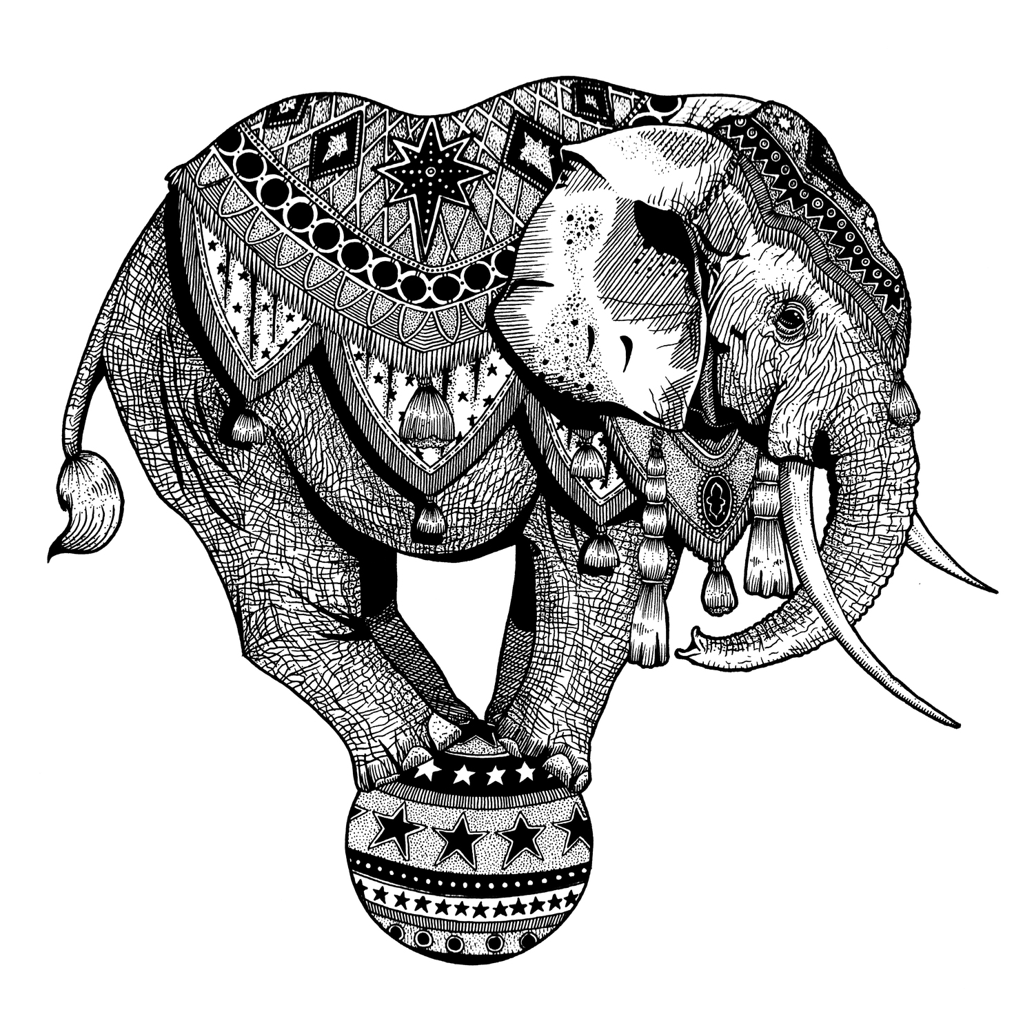 Amber Anderson elephant