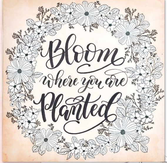 Kelly Klapstein: Meet the Brush Lettering Professional | Blog | Crafts ...