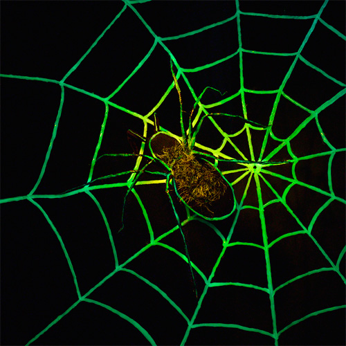 Glow in the Dark Spider Web Halloween Decoration Glow in the Dark Spider Web Halloween Decoration