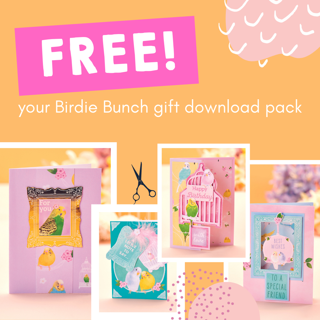 15 Card Ideas With Your Birdie Bunch Cardmaking Kit 15 Card Ideas With Your Birdie Bunch Cardmaking Kit