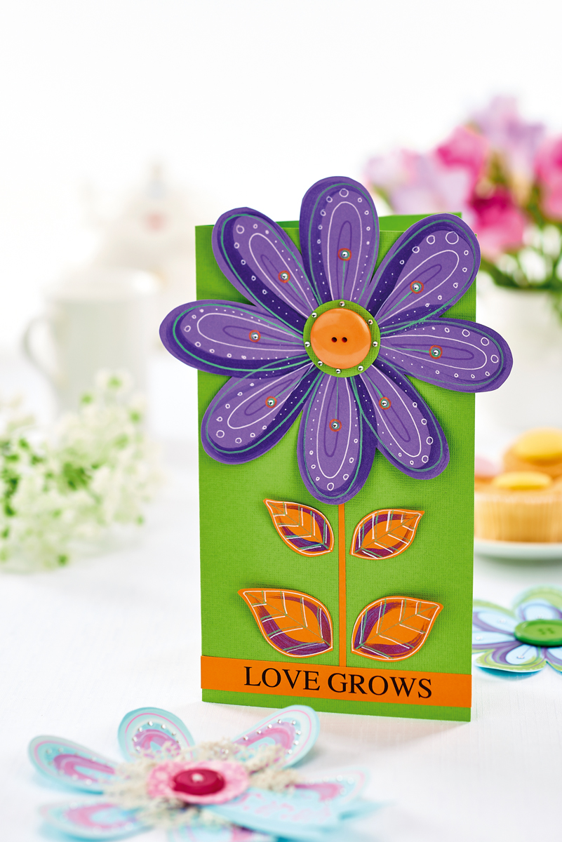 Bold Bloom Set Bold Bloom Set
